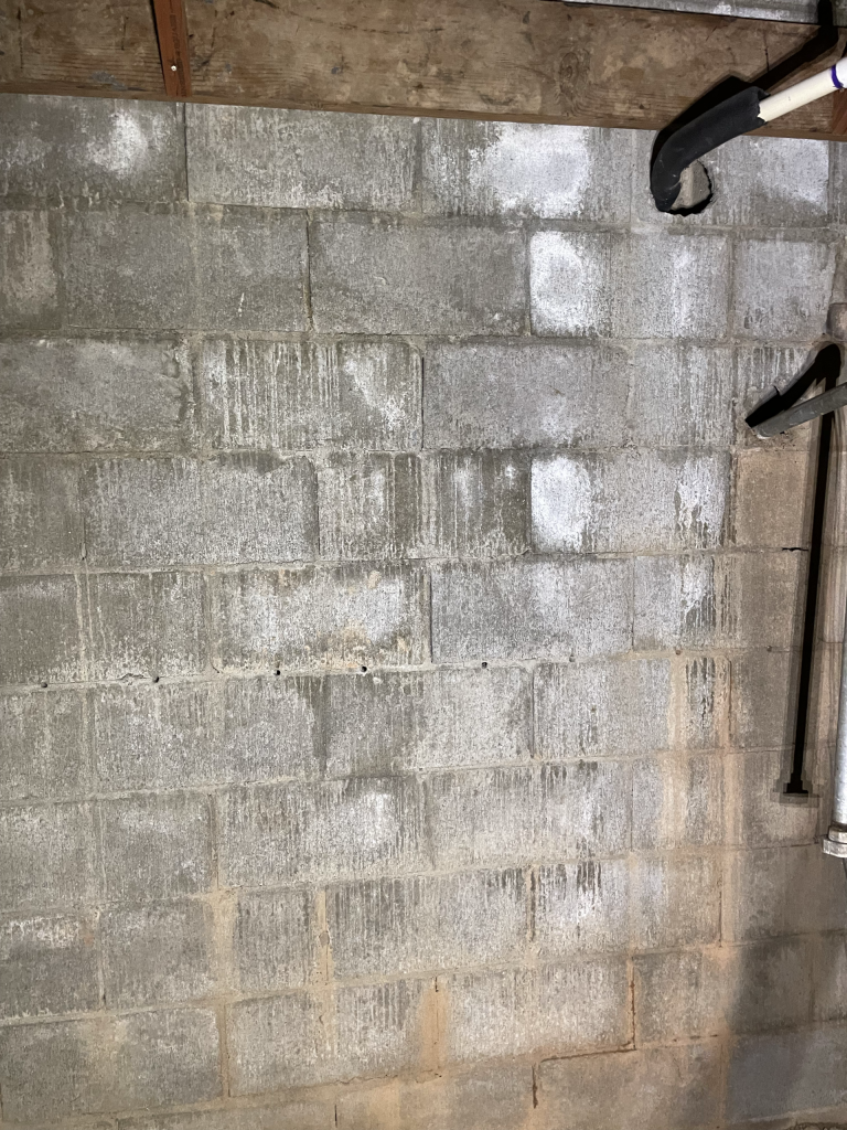 Efflorescence on a basement wall in Western North Carolina